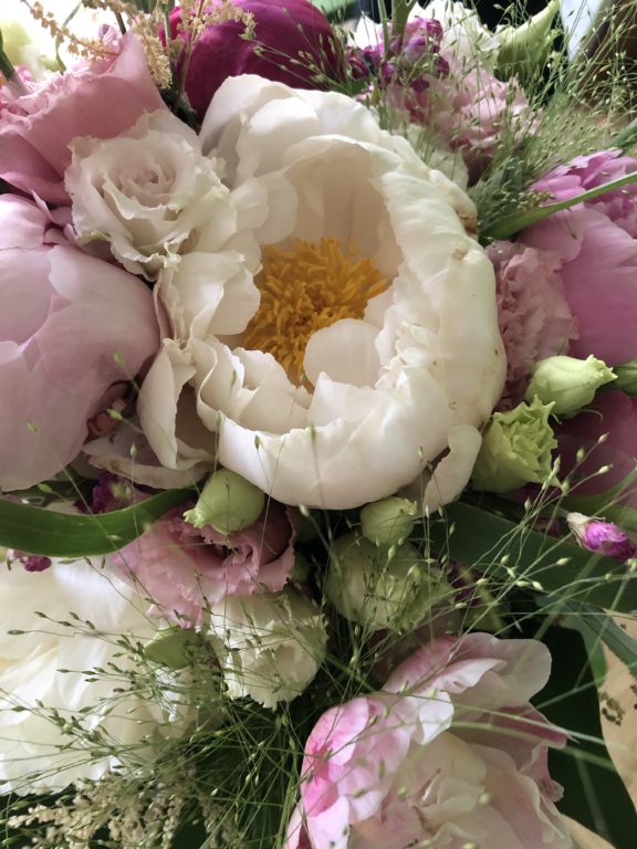 Meine Blumen zur Entspannung Blumen entspannen die Augen